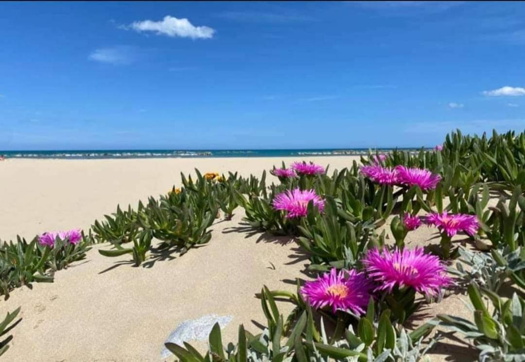 Marea Il Tuo Angolo Di Paradiso In Sicilia Ti Aspetta Prenota Ora E Vivi La Magia Del Mediterraneo Alcamo Marina Exteriér fotografie
